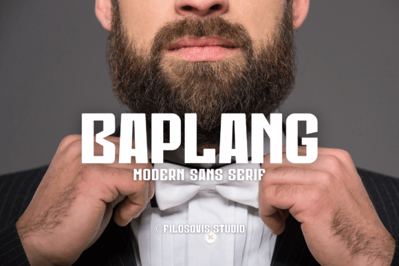 Baplang Sans Serif Font for Modern Web Design