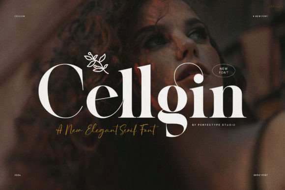 Cellgin Serif Font for Modern Web Design