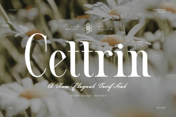Cettrin Serif Font for Polished Branding