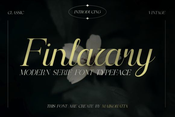 Finlazary: A Modern Serif Font for Web Design Projects