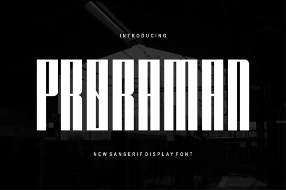 Proraman: A Modern Sans Serif Font for Bold Campaigns
