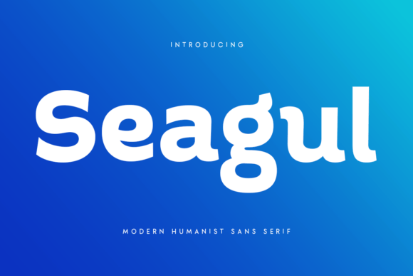 Seagul: A Modern Sans Serif Font for Editorial Design
