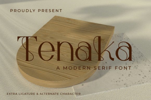Tenaka Serif Font Review for Real Projects